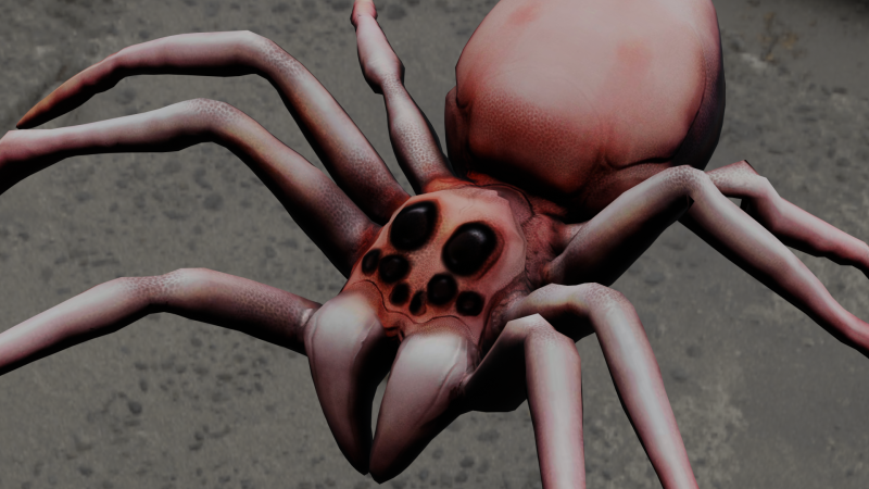 Spider Animated 3D Model .c4d .max .obj .3ds .fbx .stl .blend 