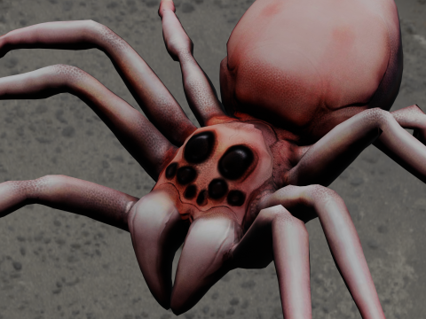 Spider Animated 3D 模型