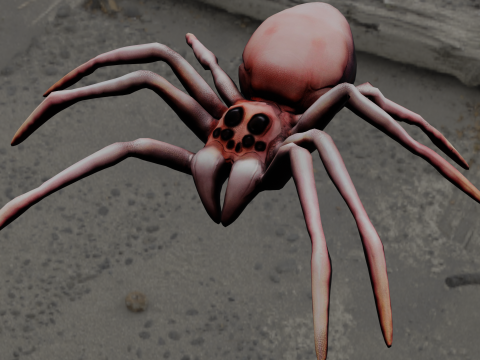 Spider Animated 3D Model