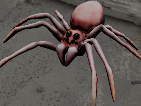 Spider Animated 3D Model