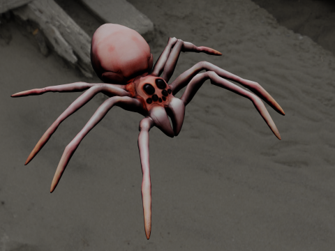 Spider Animated 3D Model