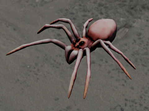 Spider Animated 3D Model