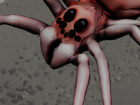 Spider Animated 3D Model