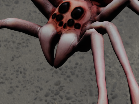 Spider Animated 3D Model