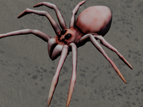 Spider Animated 3D Model