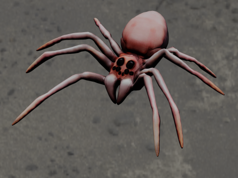 Spider Animated 3D Model