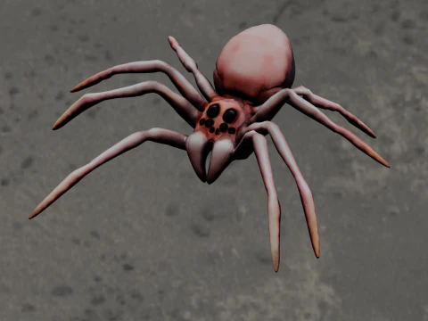Spider Animated 3D Model