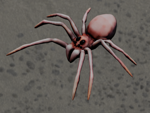 Spider Animated 3D Model
