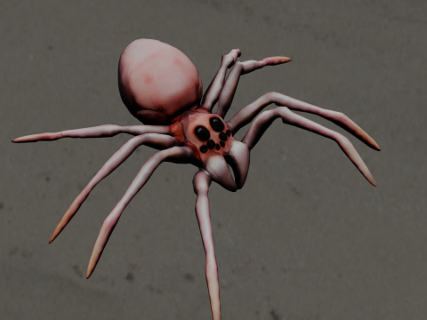 Spider Animated 3D Model