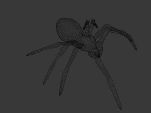 Spider Animated 3D Model