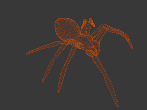 Spider Animated 3D Model
