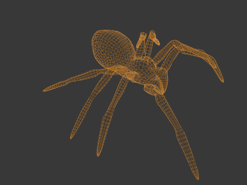 Spider Animated 3D Model