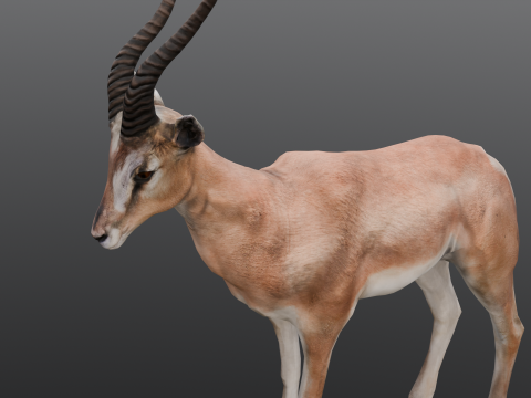 Goat Animated Modello 3D