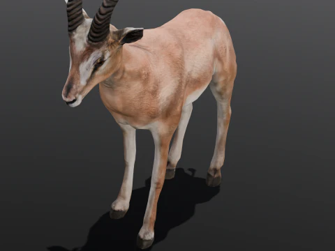 Goat Animated 3D Model