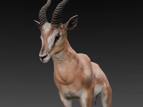Goat Animated 3D Model