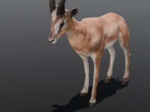 Goat Animated Modello 3D