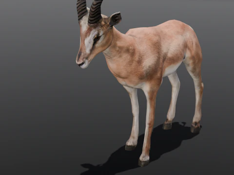 Goat Animated 3D Model