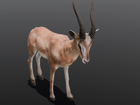 Goat Animated Modello 3D
