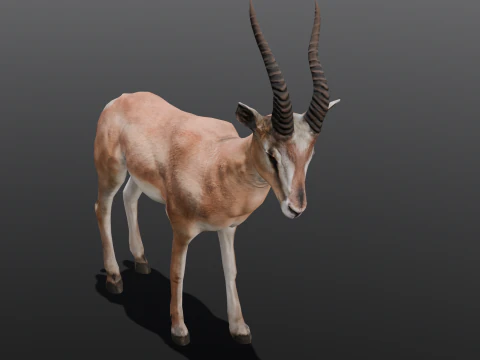 Goat Animated 3D Model
