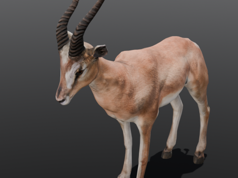 Goat Animated Modello 3D
