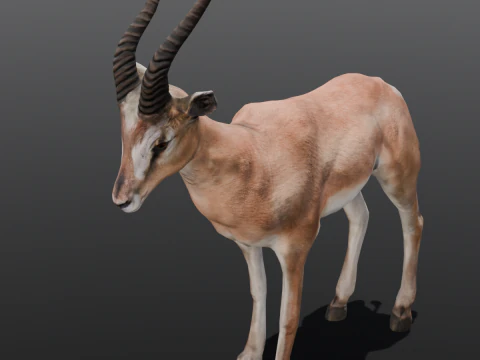 Goat Animated 3D Model