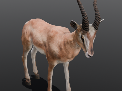 Goat Animated Modello 3D