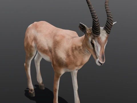 Goat Animated 3D Model