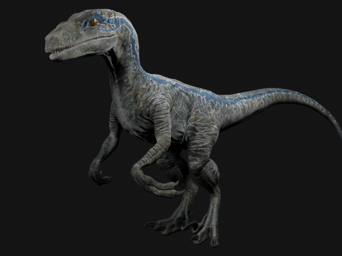 Velociraptor Blue - Animated and Rigged 3D Model