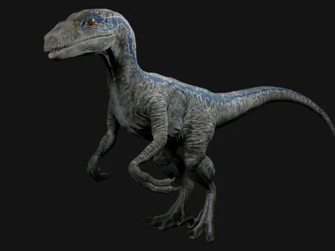 Velociraptor Blue - Animato e truccato Modello 3D