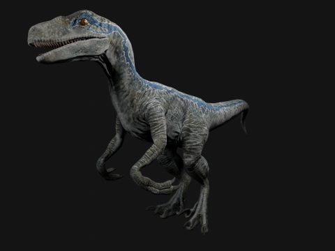 Velociraptor Blue - Animated and Rigged Model 3D