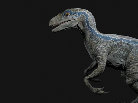 Velociraptor Blue - Animated and Rigged Model 3D