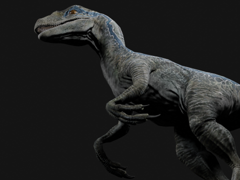 Velociraptor Blue - Animated and Rigged Model 3D