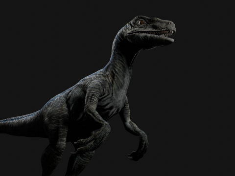 Velociraptor Blue - Animated and Rigged Model 3D