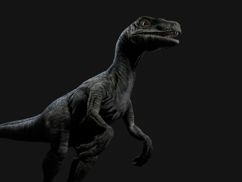 Velociraptor Blue - Animated and Rigged 3D Model