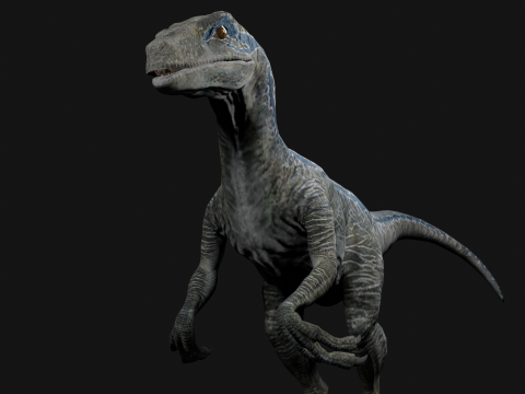 Velociraptor Blue - Animated and Rigged Model 3D
