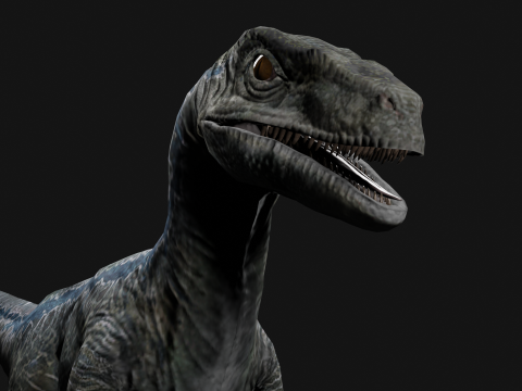 Velociraptor Blue - Animated and Rigged Model 3D