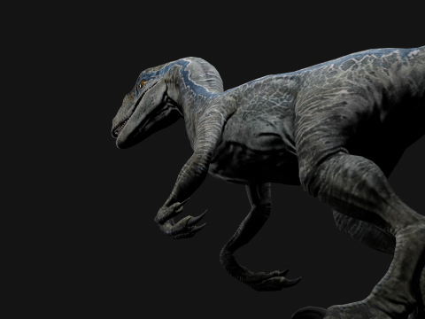 Velociraptor Blue - Animated and Rigged Model 3D