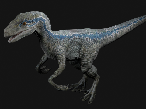 Velociraptor Blue - Animated and Rigged Model 3D