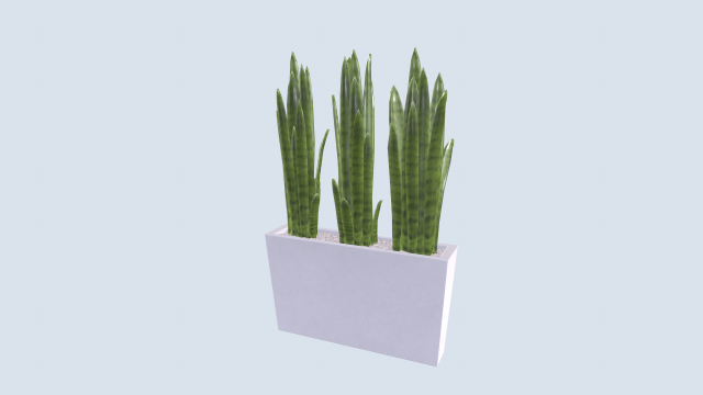 Pike tail pot-plant 3D Model .c4d .max .obj .3ds .fbx .stl .blend