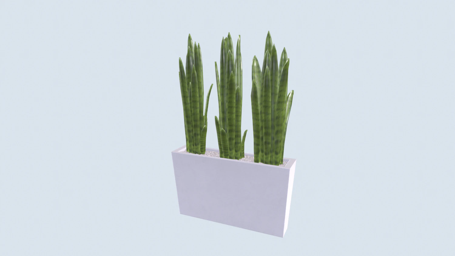 Pike tail pot-plant 3D Model .c4d .max .obj .3ds .fbx .stl .blend 