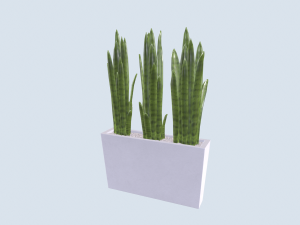 Pike tail pot-plant 3D Model
