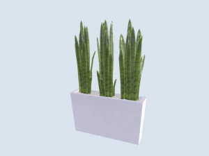 Planta em vaso com cauda de l&uacute;cio Modelo 3D