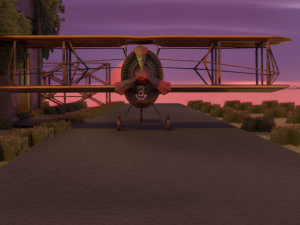 Low Poly Biplane model 3D Model