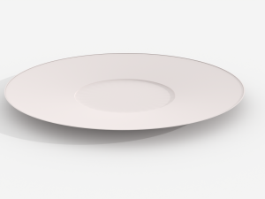 Plate 3D Model