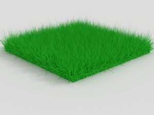 Grass 3Dモデル