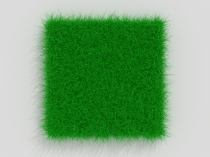 Grass 3D 模型
