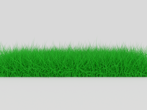Grass 3D 模型