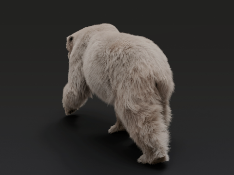Polar bear 3Dモデル
