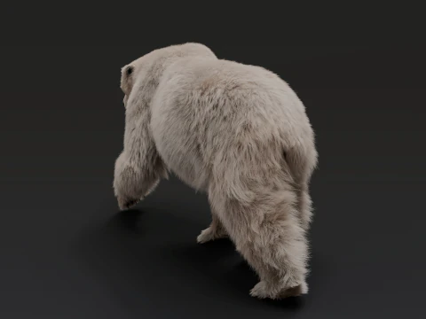 Polar bear 3D Model