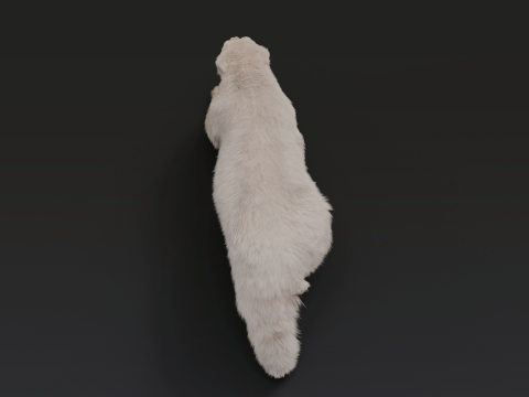 Polar bear 3Dモデル